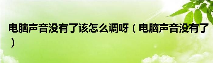 电脑声音没有了该怎么调呀（电脑声音没有了）