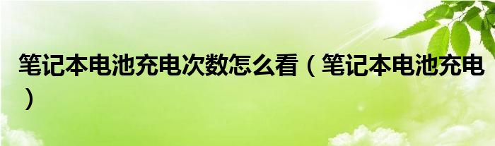 笔记本电池充电次数怎么看（笔记本电池充电）