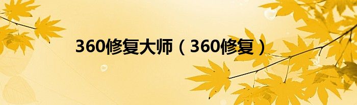 360修复大师（360修复）