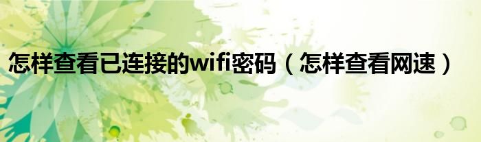 怎样查看已连接的wifi密码（怎样查看网速）