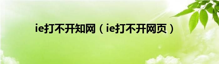 ie打不开知网（ie打不开网页）