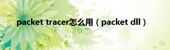 packet tracer怎么用（packet dll）