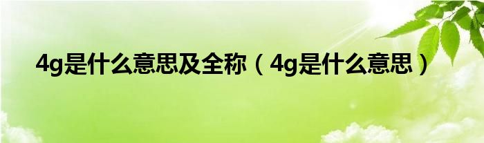 4g是什么意思及全称（4g是什么意思）