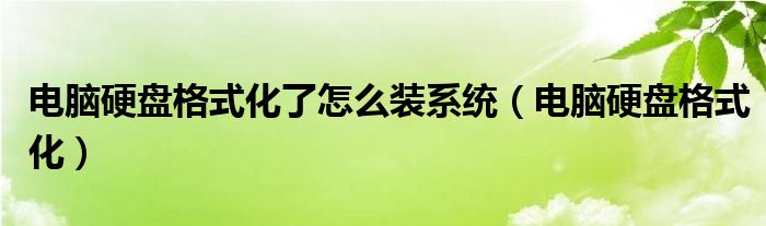 电脑硬盘格式化了怎么装系统（电脑硬盘格式化）