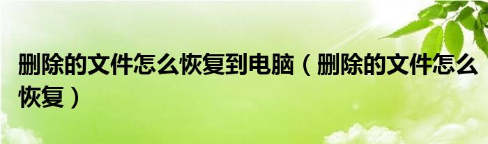 删除的文件怎么恢复到电脑（删除的文件怎么恢复）