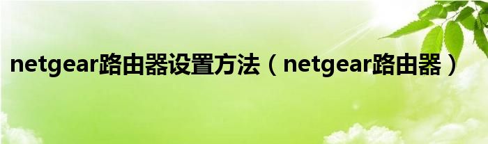 netgear路由器设置方法（netgear路由器）