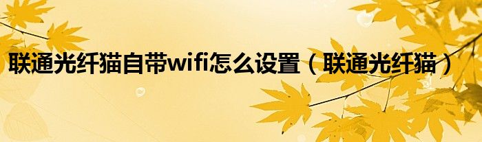 联通光纤猫自带wifi怎么设置（联通光纤猫）