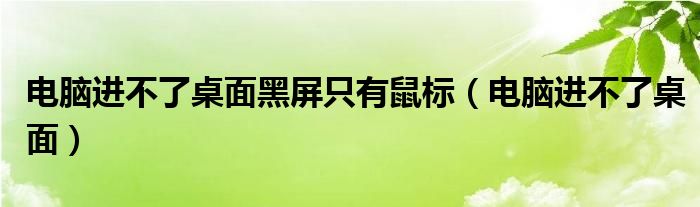 电脑进不了桌面黑屏只有鼠标（电脑进不了桌面）