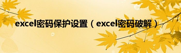 excel密码保护设置（excel密码破解）