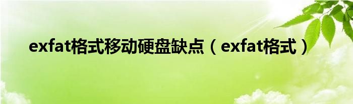 exfat格式移动硬盘缺点（exfat格式）