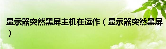 显示器突然黑屏主机在运作（显示器突然黑屏）