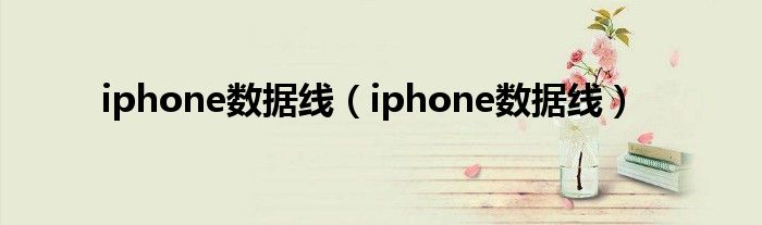 iphone数据线（iphone数据线）