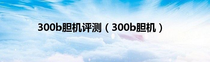 300b胆机评测（300b胆机）