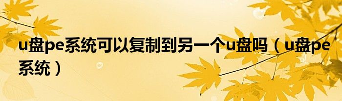 u盘pe系统可以复制到另一个u盘吗（u盘pe系统）