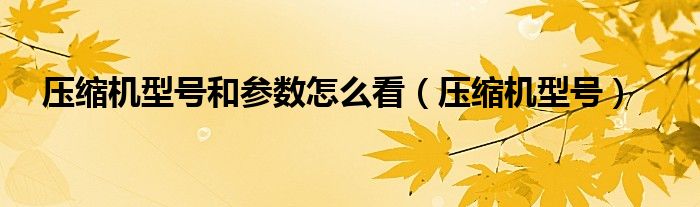 压缩机型号和参数怎么看（压缩机型号）