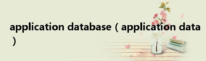 application database（application data）