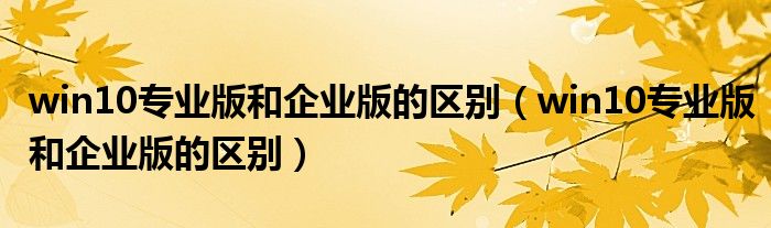 win10专业版和企业版的区别（win10专业版和企业版的区别）