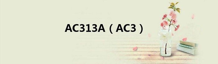 AC313A（AC3）