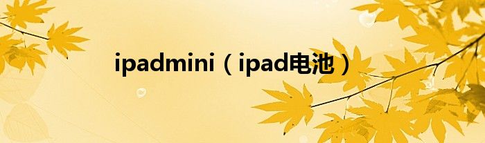 ipadmini（ipad电池）