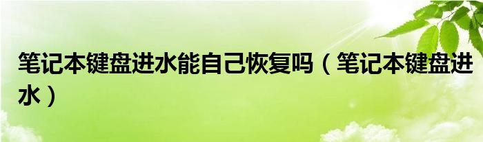 笔记本键盘进水能自己恢复吗（笔记本键盘进水）