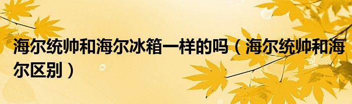 海尔统帅和海尔冰箱一样的吗（海尔统帅和海尔区别）