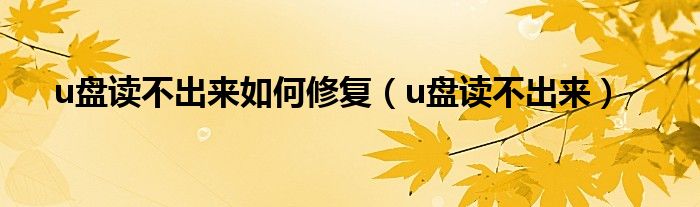 u盘读不出来如何修复（u盘读不出来）