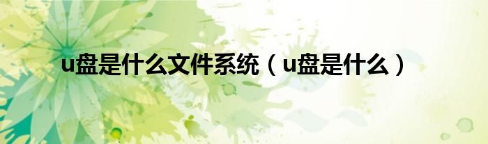 u盘是什么文件系统（u盘是什么）