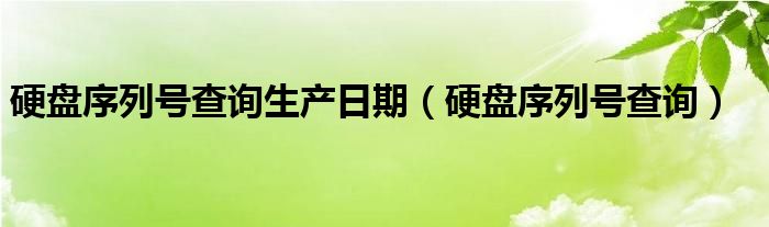 硬盘序列号查询生产日期（硬盘序列号查询）