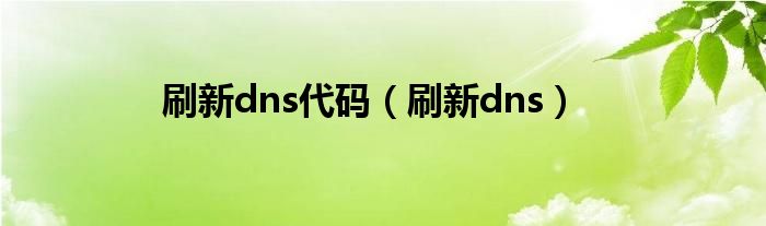 刷新dns代码（刷新dns）