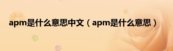 apm是什么意思中文（apm是什么意思）