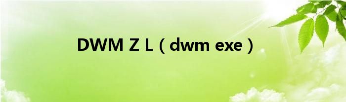 DWM Z L（dwm exe）