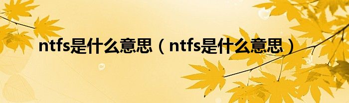 ntfs是什么意思（ntfs是什么意思）