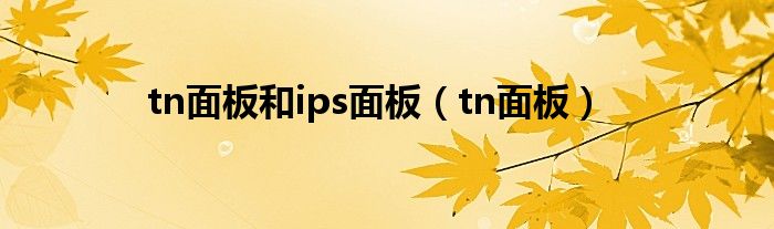 tn面板和ips面板（tn面板）