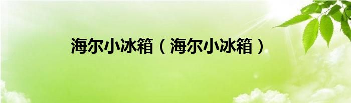 海尔小冰箱（海尔小冰箱）