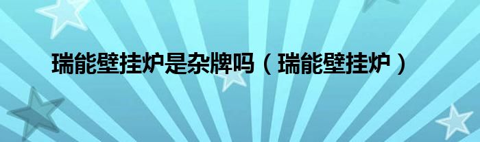 瑞能壁挂炉是杂牌吗（瑞能壁挂炉）