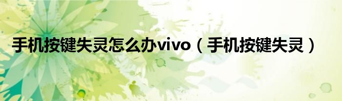 手机按键失灵怎么办vivo（手机按键失灵）