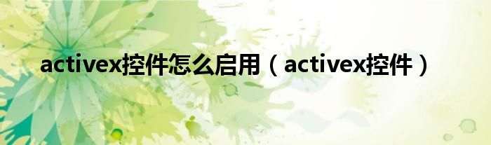 activex控件怎么启用（activex控件）