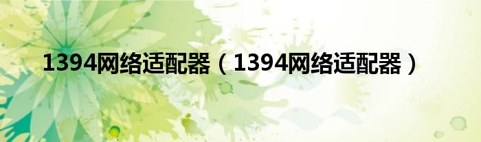 1394网络适配器（1394网络适配器）