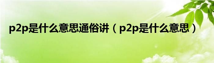 p2p是什么意思通俗讲（p2p是什么意思）