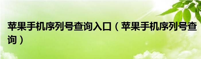 苹果手机序列号查询入口（苹果手机序列号查询）