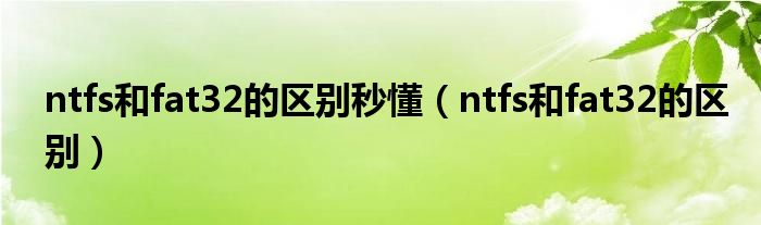 ntfs和fat32的区别秒懂（ntfs和fat32的区别）