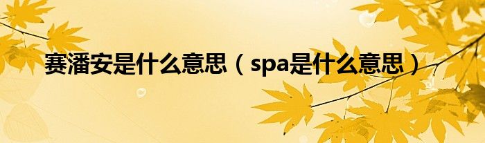 赛潘安是什么意思（spa是什么意思）