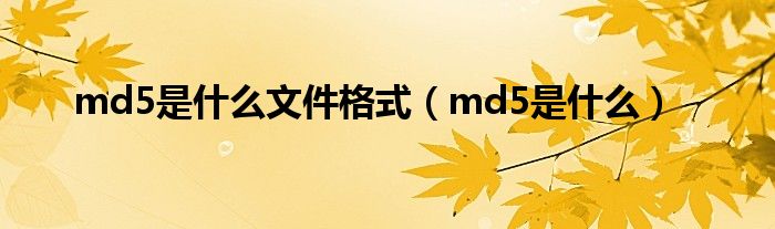 md5是什么文件格式（md5是什么）