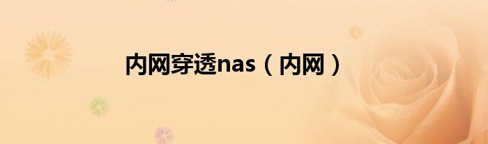 内网穿透nas（内网）