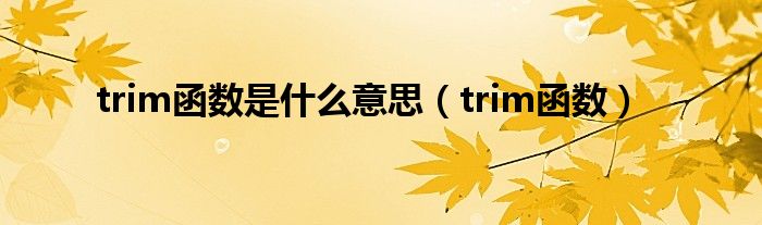 trim函数是什么意思（trim函数）