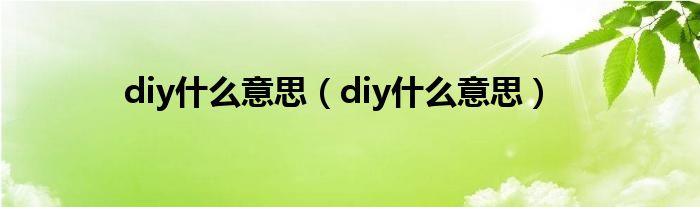 diy什么意思（diy什么意思）