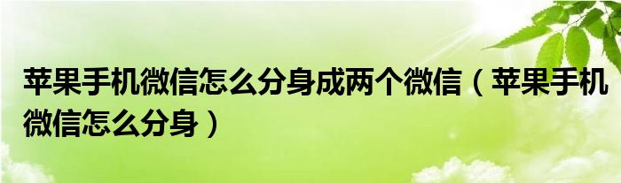 苹果手机微信怎么分身成两个微信（苹果手机微信怎么分身）