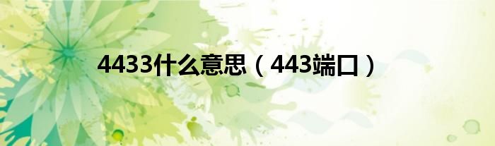 4433什么意思（443端口）