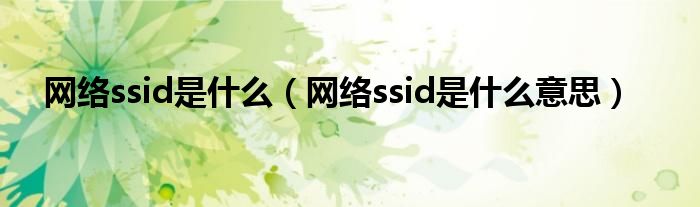 网络ssid是什么（网络ssid是什么意思）