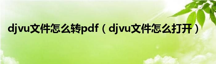 djvu文件怎么转pdf（djvu文件怎么打开）